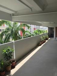 Blk 235 Tampines Street 21 (Tampines), HDB 3 Rooms #131234162